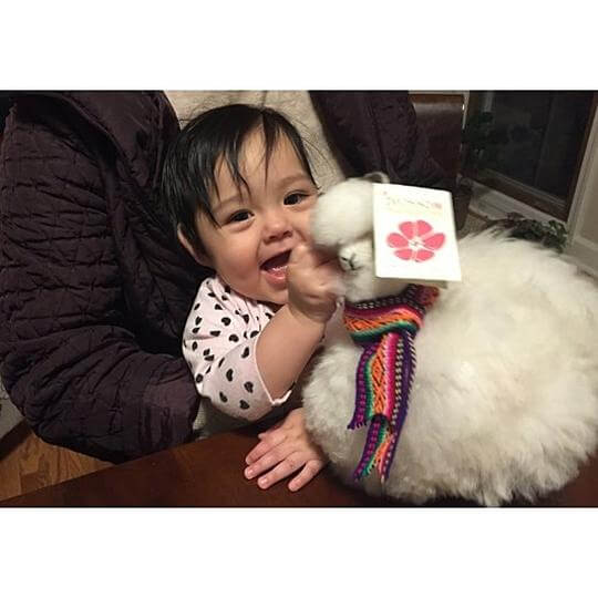 Blossom Inspirations Handmade Sitting Alpaca Toy
Jungle Pillows