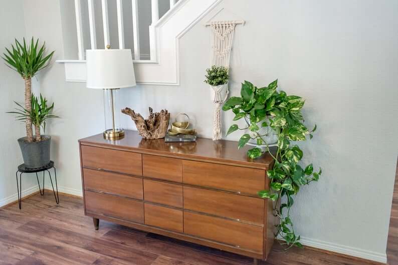 Macramama Macrame Wall Plant Hanger with Light Wood Dowel
Jungle Pillows