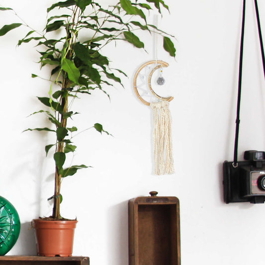 5 Reasons You Should Have Indoor Plants