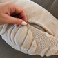 Beige Pumpkin Pillow Cover