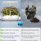 inBloom 12 Pods Hydroponics Growing System Indoor Garden with LED Grow Light and Pod Kit, Plants Germination Kit with 4.2L Water Pump Accelerate, Height Adjustable, Gardening Gifts for Women, White