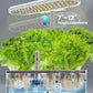 inBloom 12 Pods Hydroponics Growing System Indoor Garden with LED Grow Light and Pod Kit, Plants Germination Kit with 4.2L Water Pump Accelerate, Height Adjustable, Gardening Gifts for Women, White