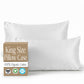 Organic Cotton Bed Sheet Collection