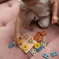 Montessori Shape Puzzle Toy | LYTL®️