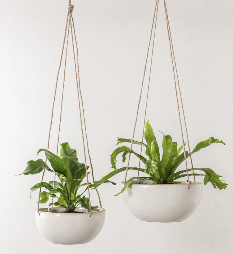 Two hanging white ceramic planters with plants Jungle Pillows