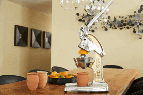 Artisan Citrus Juicer - Large