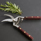 Thai Kitchen and Garden Shears