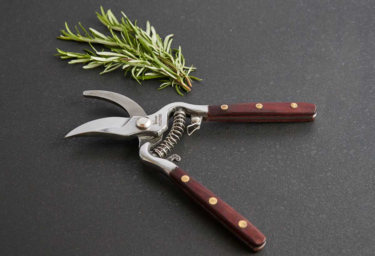 Thai Kitchen and Garden Shears