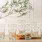 Moroccan Beldi Glassware - Set of 6