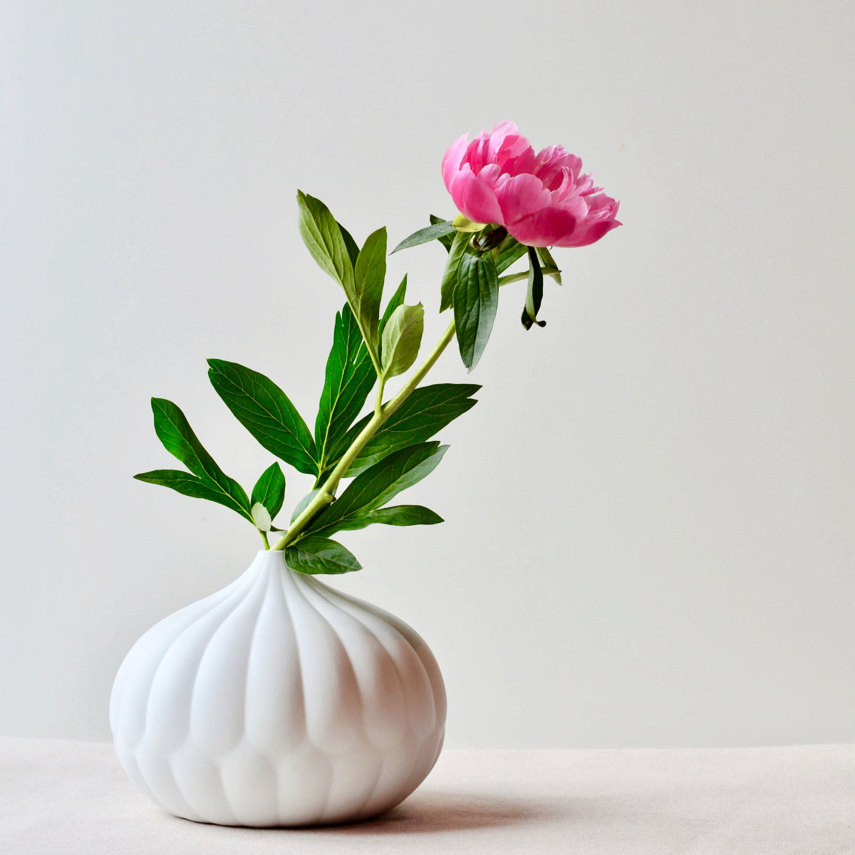 Textured Porcelain Vases Set of 3