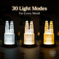Two-Tower Selenite Lamp – Deep Energy Cleanse & Reset
