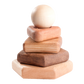 Wooden stacking toy in different shapes from 5 types of wood
