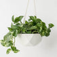 Convivial 2V Geometric Hanging Planter
Jungle Pillows