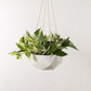 Convivial Geometric Hanging Planter