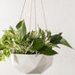 Convivial Geometric Hanging Planter