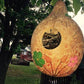 Blossom Inspirations Forest Painted and Carved Gourd Birdhouse
Jungle Pillows