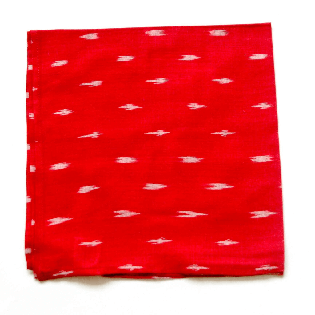 Rustic Loom Handwoven Cotton Ikat Red Dash Cloth Dinner Napkins Set of 4
Jungle Pillows