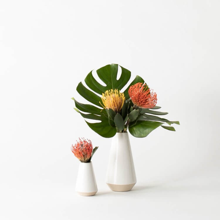 Convivial Minimal Bud Vases
Jungle Pillows