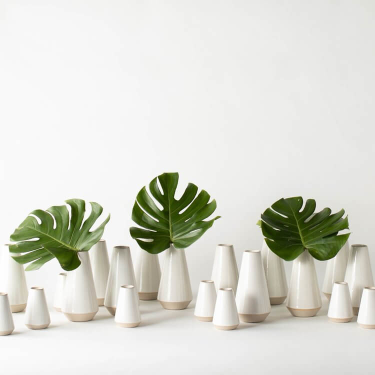 Convivial Minimal Bud Vases
Jungle Pillows