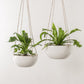 Convivial Minimal Hanging Planter