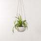 Convivial Minimal Hanging Planter