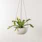 Convivial Minimal Hanging Planter