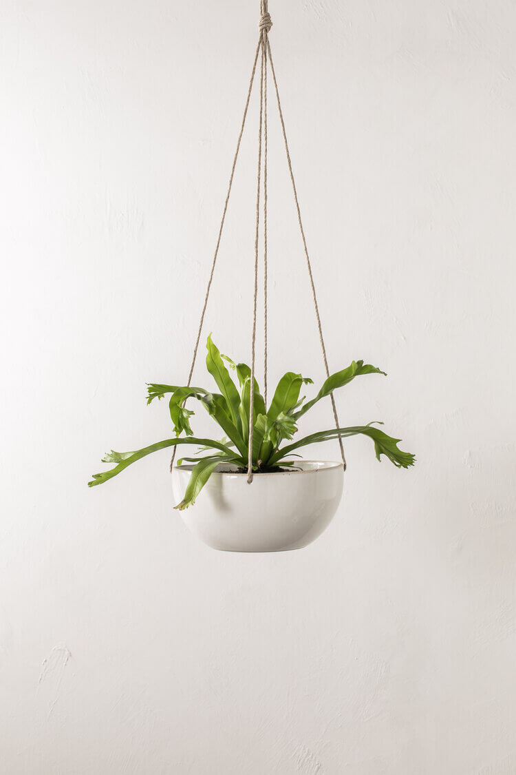 Convivial Minimal Hanging Planter