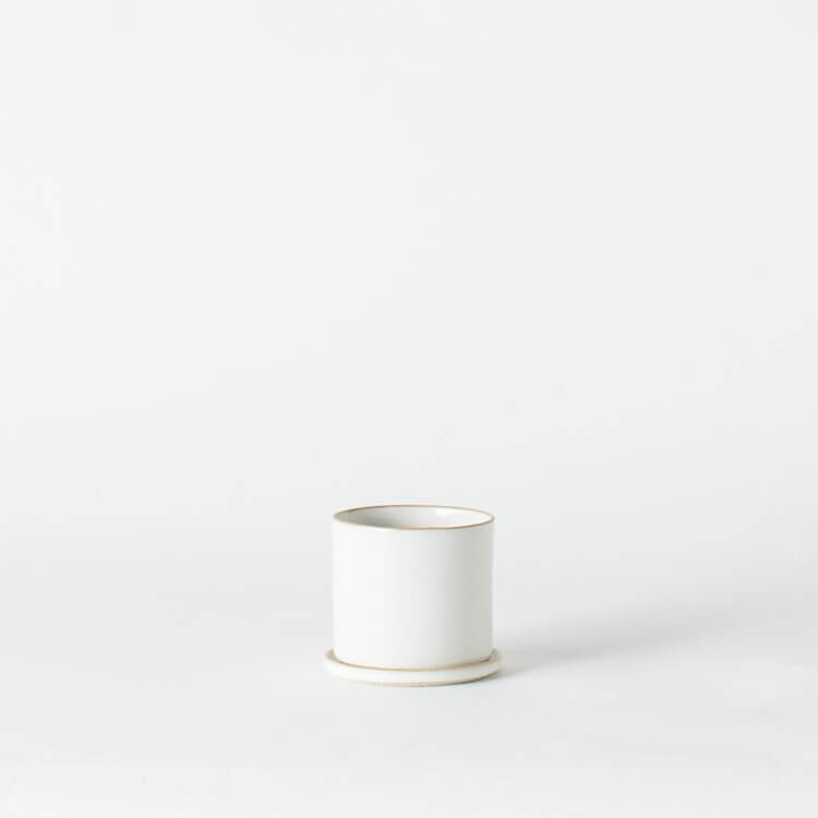 Convivial Minimal SAND Planters
Jungle Pillows
