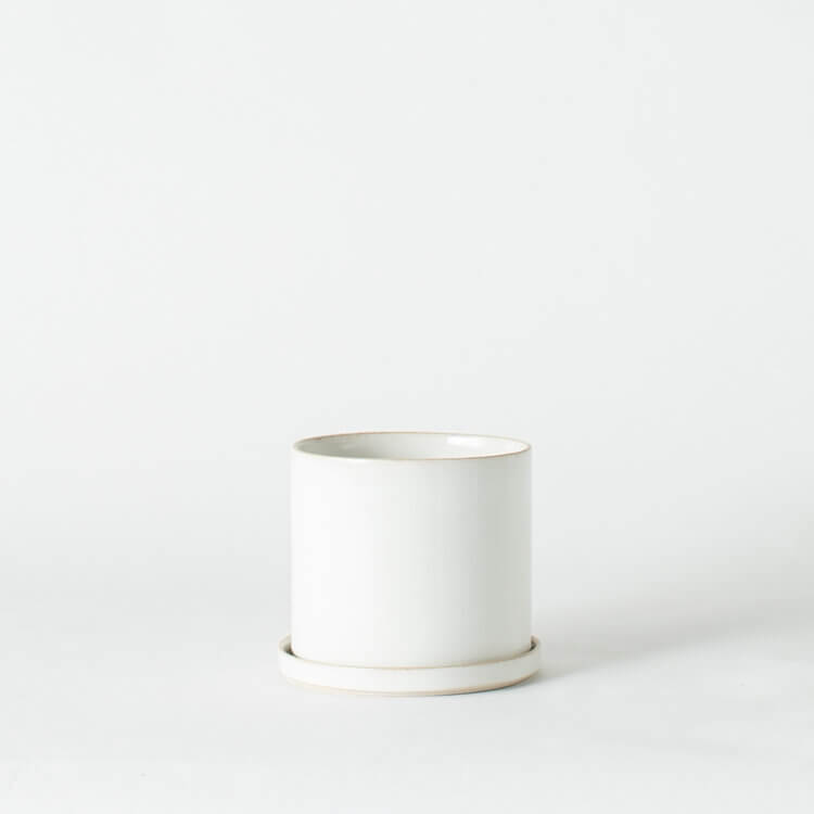 Convivial Minimal SAND Planters
Jungle Pillows