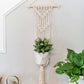 Macramama Macrame Wall Plant Hanger with Light Wood Dowel
Jungle Pillows