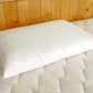 Holy Lamb Organics Natural Wool-Filled Bed Pillow
Jungle Pillows