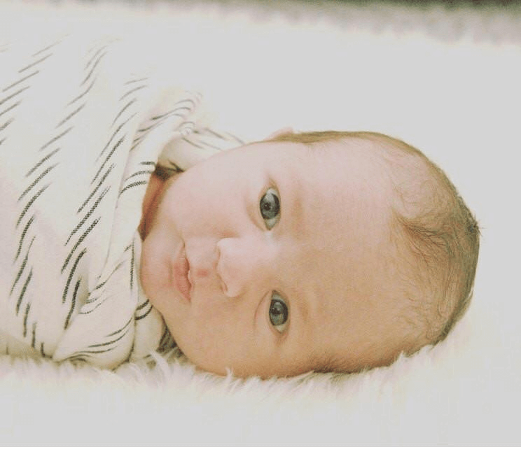 Rustic Loom White Zebra Stripe Artisan Woven Ikat Baby Swaddle
Jungle Pillows