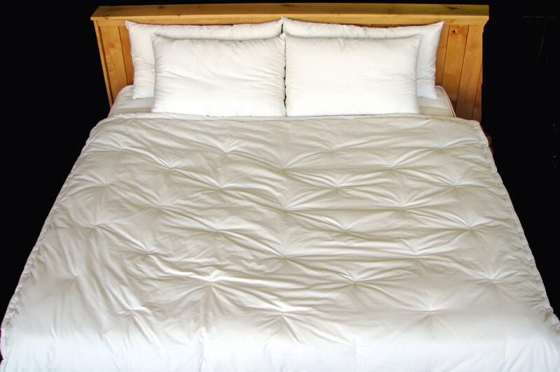 Holy Lamb Organics Natural Wool Comforter
Jungle Pillows
