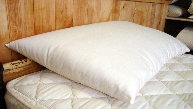 Holy Lamb Organics Natural Wool-Filled Bed Pillow
Jungle Pillows