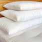 Holy Lamb Organics Natural Wool-Filled Bed Pillow
Jungle Pillows