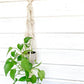 Macramama Zeppelin Macrame Plant Hanger