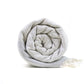 Sunkissed Cape Town Blanket
Jungle Pillows
