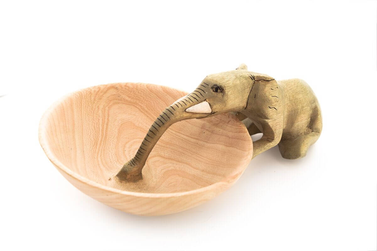 Acacia Creations Drinking Elephant Bowl
Jungle Pillows