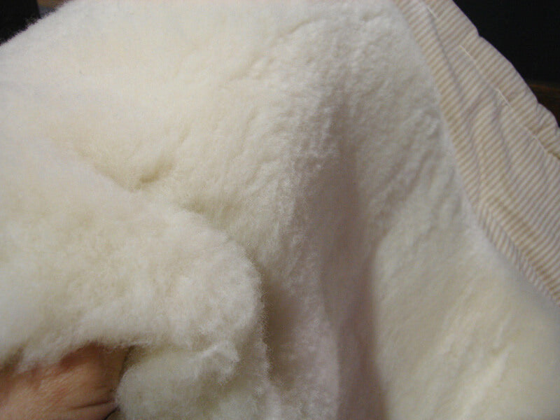 Holy Lamb Organics Happy Lamb Fleece Mattress Topper
Jungle Pillows